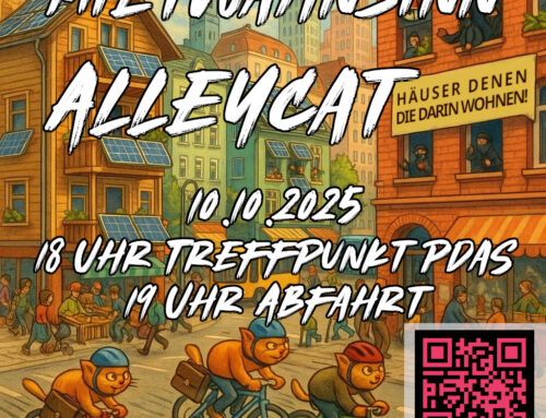 Mietwahnsinn Alleycat